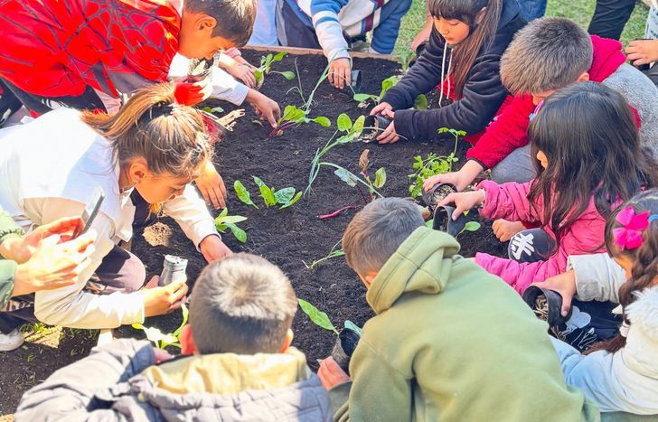 Huertas agroecológicas: la Primaria 74 de Llavallol se sumó al programa