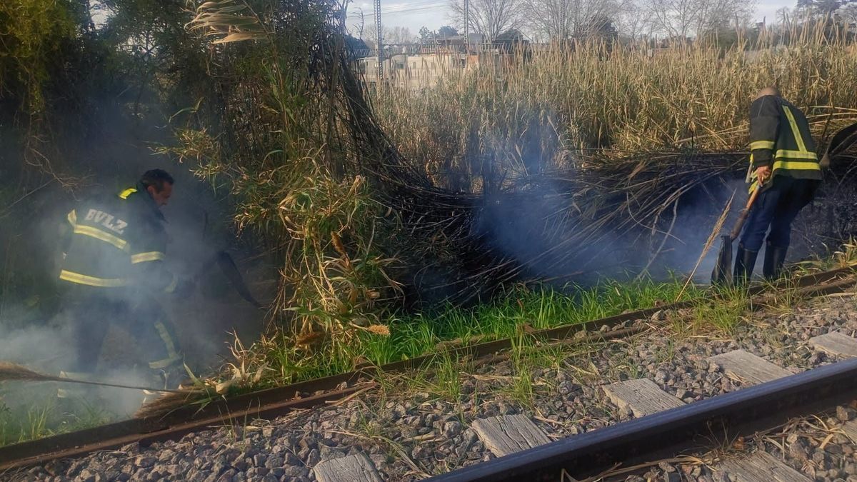 Incendio junto a las vías del Tren Roca en Turdera Incendio en una zona de cañas junto a las vías del Tren Roca en Turdera